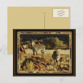 Zebra, Birchell's wildsafari-briefkaarten Briefkaart (Voorkant / Achterkant)