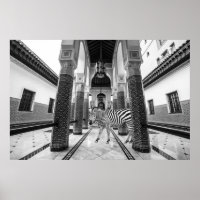 Zebra Black White Building Landschap