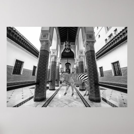 Zebra Black White Building Landschap Poster (Voorkant)