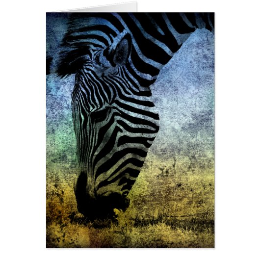 Zebra Blue en Green Grunge (Voorkant)