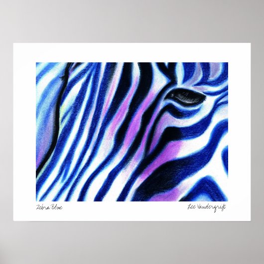 Zebra Blue poster van Lee Vandergrift (Voorkant)