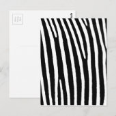 Zebra Briefkaart (Voorkant / Achterkant)