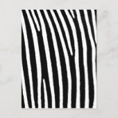 Zebra Briefkaart (Voorkant)