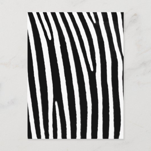 Zebra Briefkaart (Voorkant)