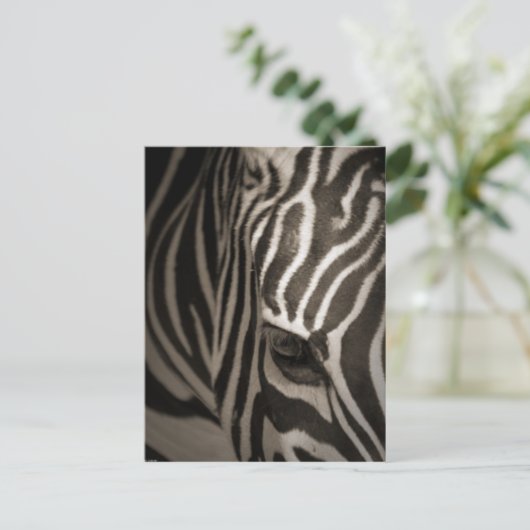 Zebra Briefkaart (Staand voorkant)