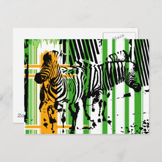Zebra Briefkaart (Voorkant / Achterkant)