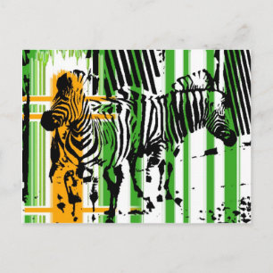 Zebra Briefkaart