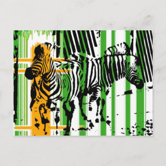 Zebra Briefkaart