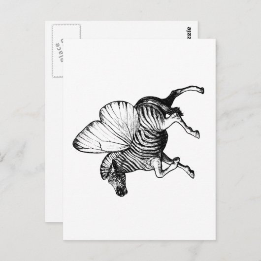 Zebra Briefkaart (Voorkant / Achterkant)