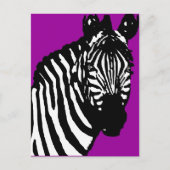 zebra. briefkaart (Voorkant)