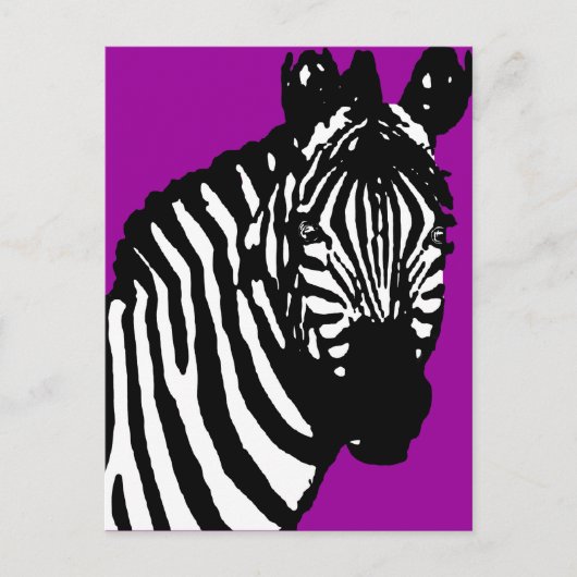 zebra. briefkaart (Voorkant)