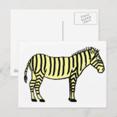 Zebra Briefkaart (Voorkant / Achterkant)