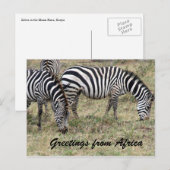 zebra briefkaart (Voorkant / Achterkant)