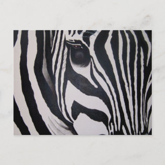 Zebra Briefkaart