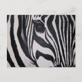 Zebra Briefkaart (Voorkant)