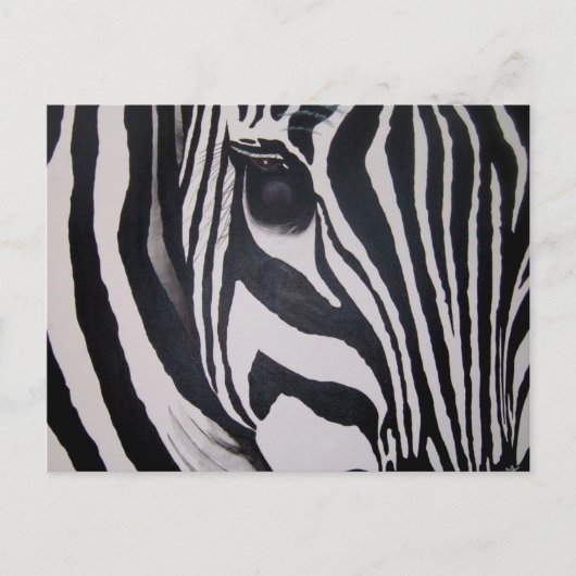 Zebra Briefkaart (Voorkant)