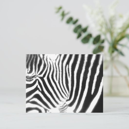 Zebra Briefkaart (Staand voorkant)