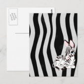 Zebra Briefkaart (Voorkant / Achterkant)
