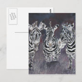 zebra briefkaart (Voorkant / Achterkant)