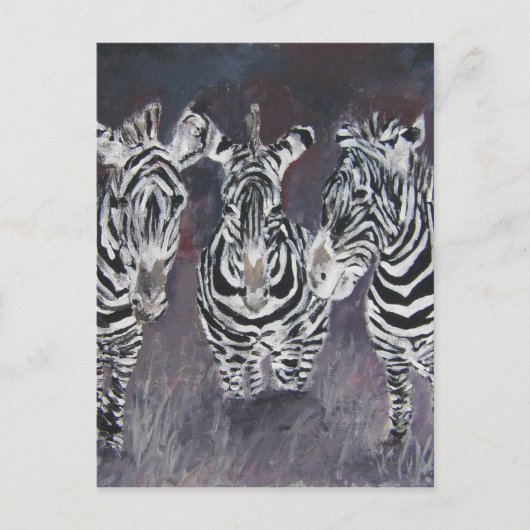 zebra briefkaart (Voorkant)