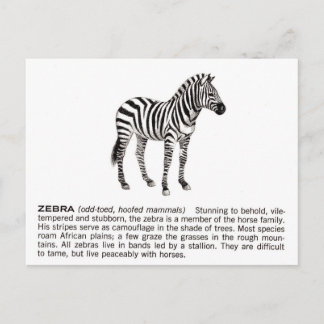 zebra briefkaart