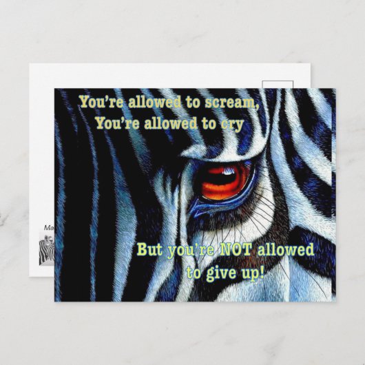 Zebra briefkaart (Voorkant / Achterkant)