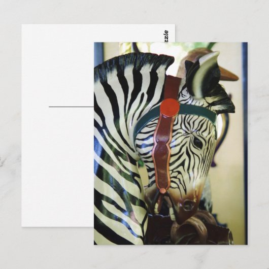 Zebra briefkaart (Voorkant / Achterkant)