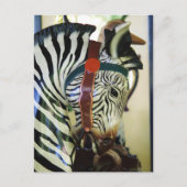 Zebra briefkaart (Voorkant)