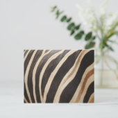 Zebra Briefkaart (Staand voorkant)