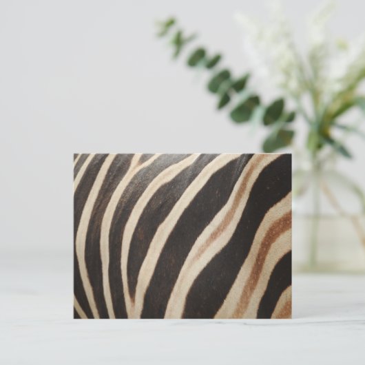 Zebra Briefkaart (Staand voorkant)
