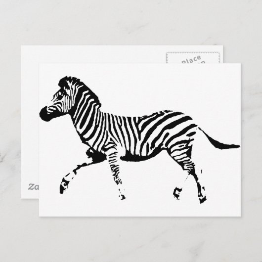 Zebra Briefkaart (Voorkant / Achterkant)