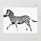 Zebra Briefkaart (Voorkant)