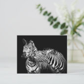 Zebra Briefkaart (Staand voorkant)