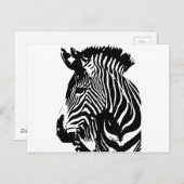 Zebra Briefkaart (Voorkant / Achterkant)