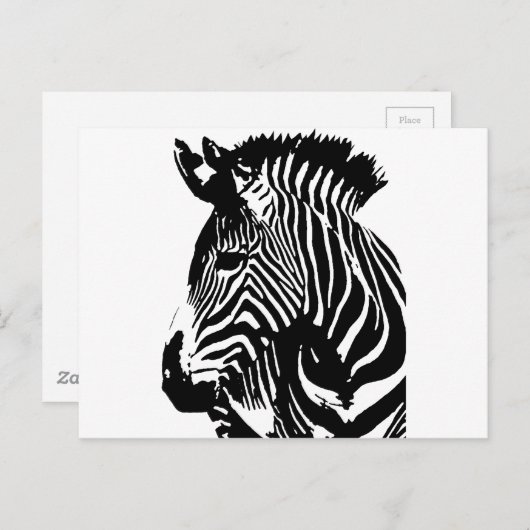 Zebra Briefkaart (Voorkant / Achterkant)