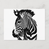 Zebra Briefkaart (Voorkant)
