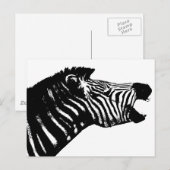 Zebra Briefkaart (Voorkant / Achterkant)
