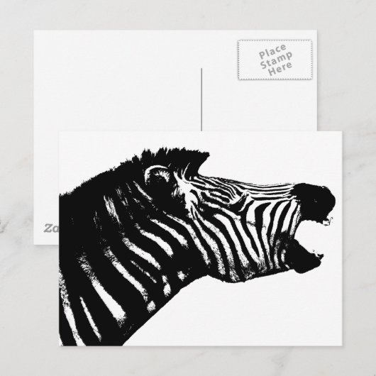 Zebra Briefkaart (Voorkant / Achterkant)