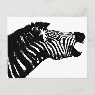 Zebra Briefkaart