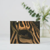 Zebra Briefkaart (Staand voorkant)