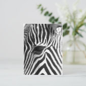 Zebra Briefkaart (Staand voorkant)