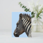 zebra briefkaart (Staand voorkant)