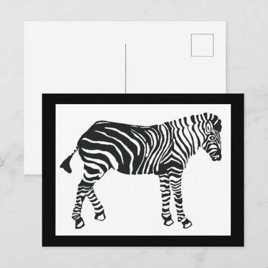 Zebra briefkaart (Voorkant / Achterkant)