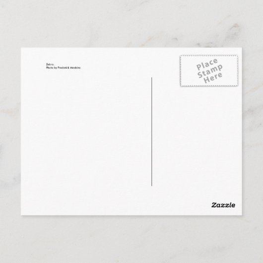 Zebra Briefkaart (Achterkant)