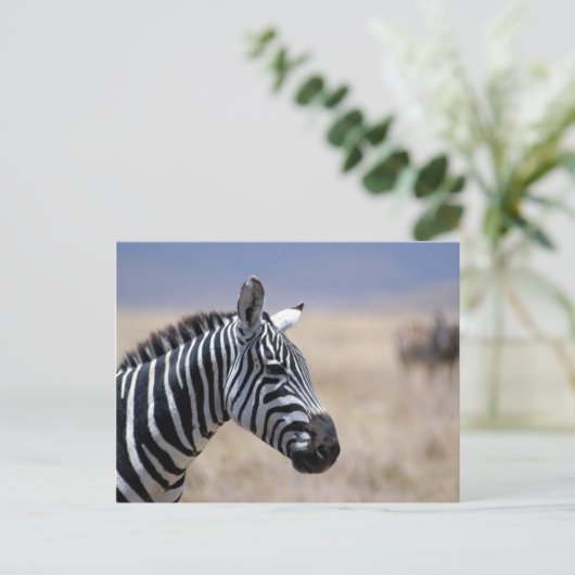 Zebra Briefkaart (Staand voorkant)