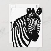 zebra. briefkaart (Voorkant / Achterkant)