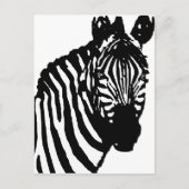 zebra. briefkaart (Voorkant)