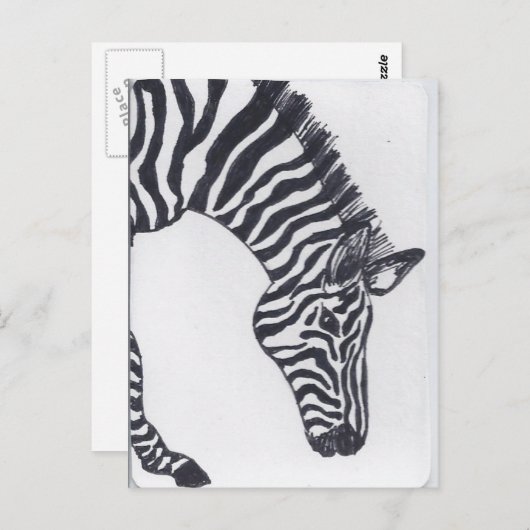 Zebra Briefkaart (Voorkant / Achterkant)