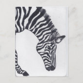 Zebra Briefkaart (Voorkant)