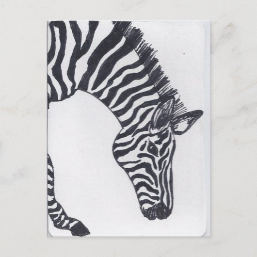Zebra Briefkaart (Voorkant)